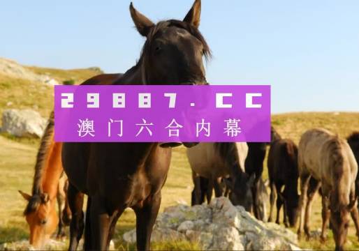 澳门最准四不像正版资料|精选解释解析落实