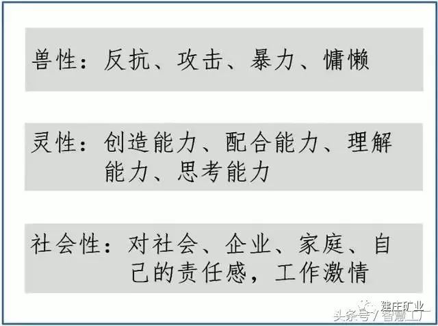 澳门2024-321期规律测消中特|词语释义解释落实