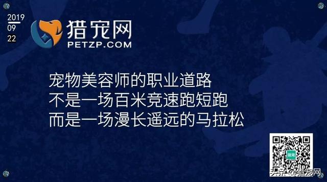 湘西专业宠物人才网站——连接宠物产业精英的桥梁