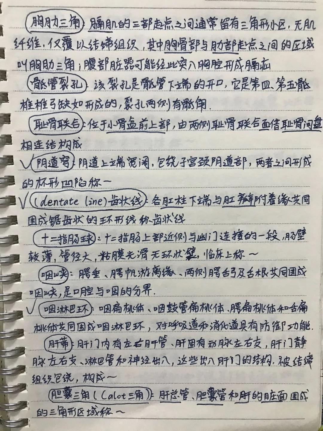 咸鱼也能翻身上岸，关于咸鱼专升本的故事