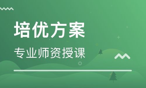 小学英语在线学习哪家好，深度探讨优质平台的选择标准