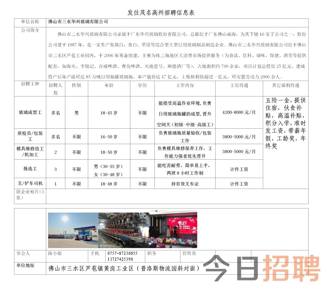 仙港招工最新招聘信息概述