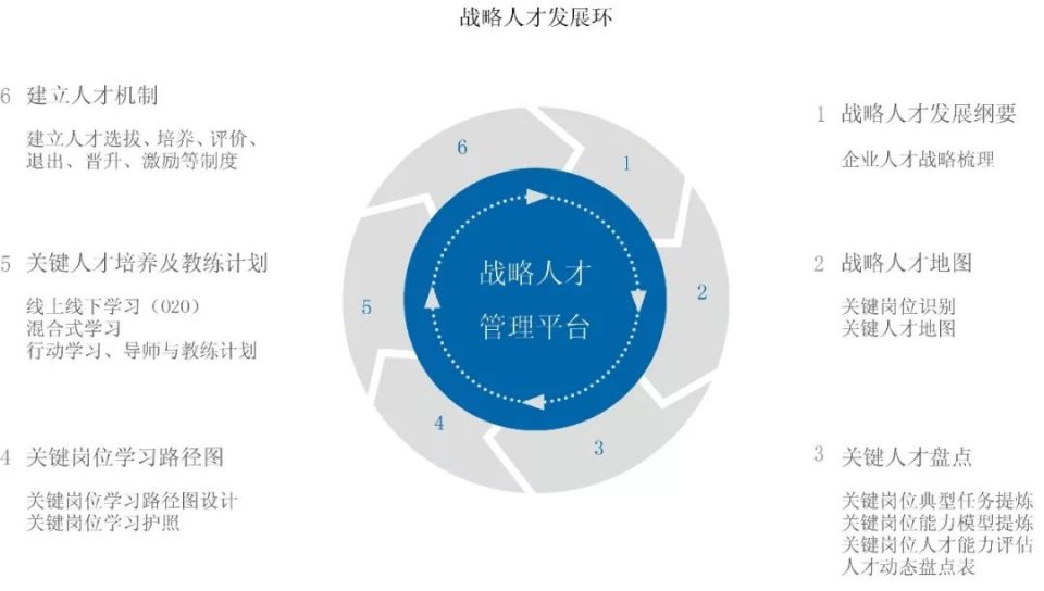 县级人才网站运营，策略与实践