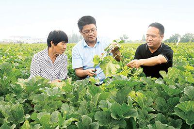 向塘人才网，连接人才与机遇的桥梁