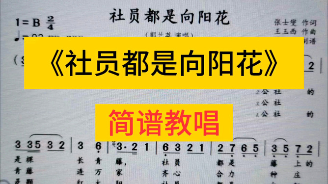 2025年1月13日 第25页