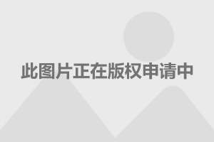 探索下载DJ网站的世界，音乐、文化与共享的新纪元