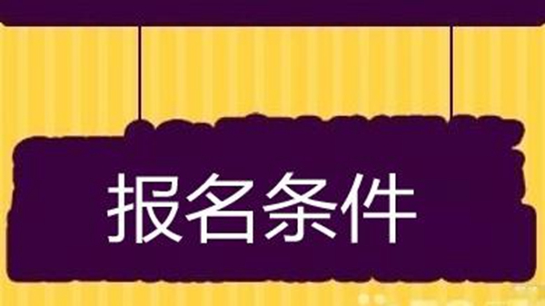 乡镇公务员报考条件公布，开启公职之门的新篇章