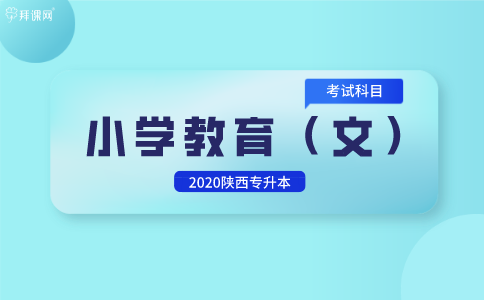 小学教育专升本考试科目详解