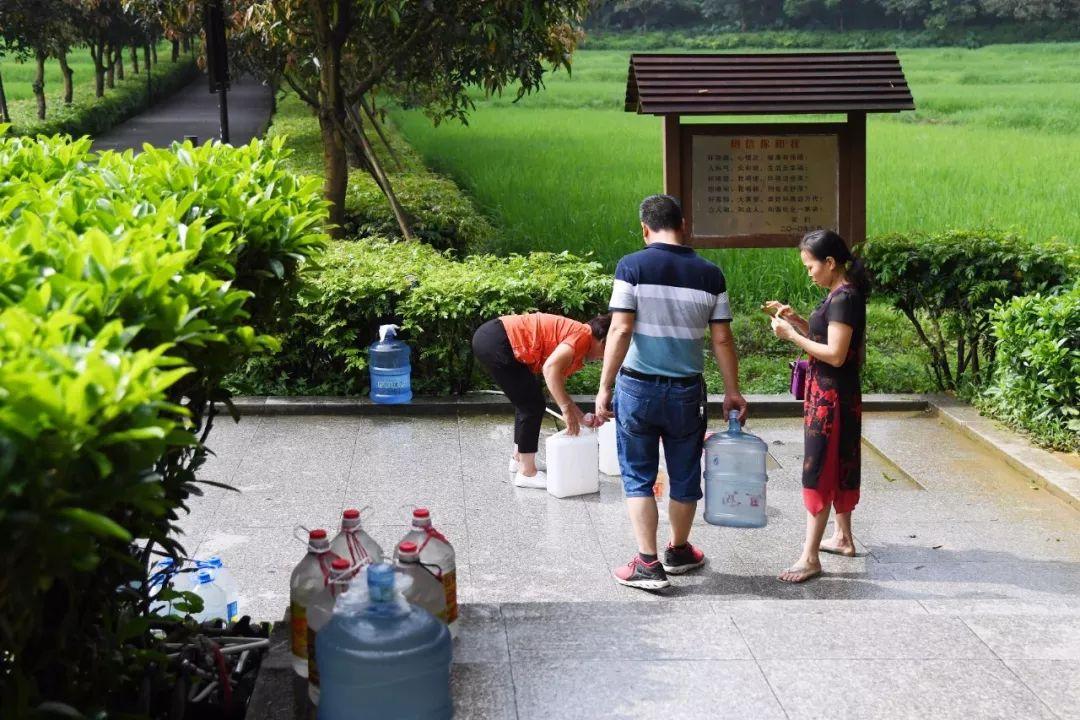 夏日百货进口超市，购物的盛宴与挑战并存