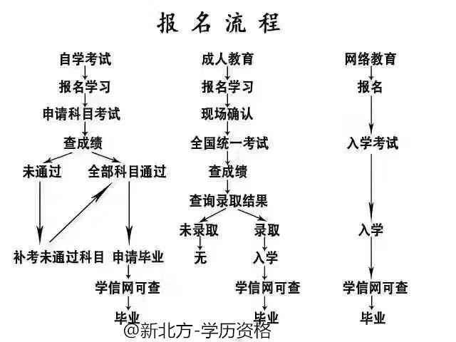 下载免费自学考试网，开启自我提升之旅的便捷途径