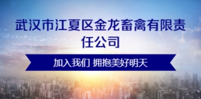 襄阳人才网——招聘招聘，引领人才与机遇的交汇点